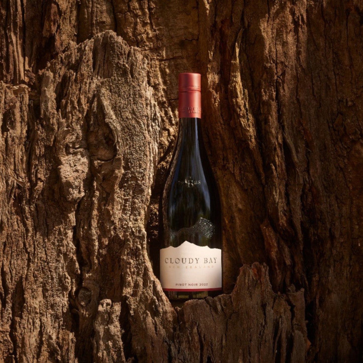 Cloudy Bay Pinot Noir 2022 - 75CL