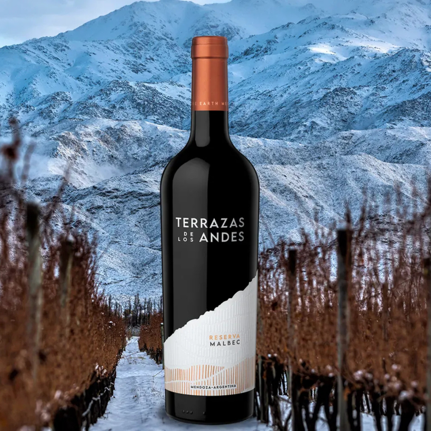 Terrazas Reserva Malbec 2023 - 75CL