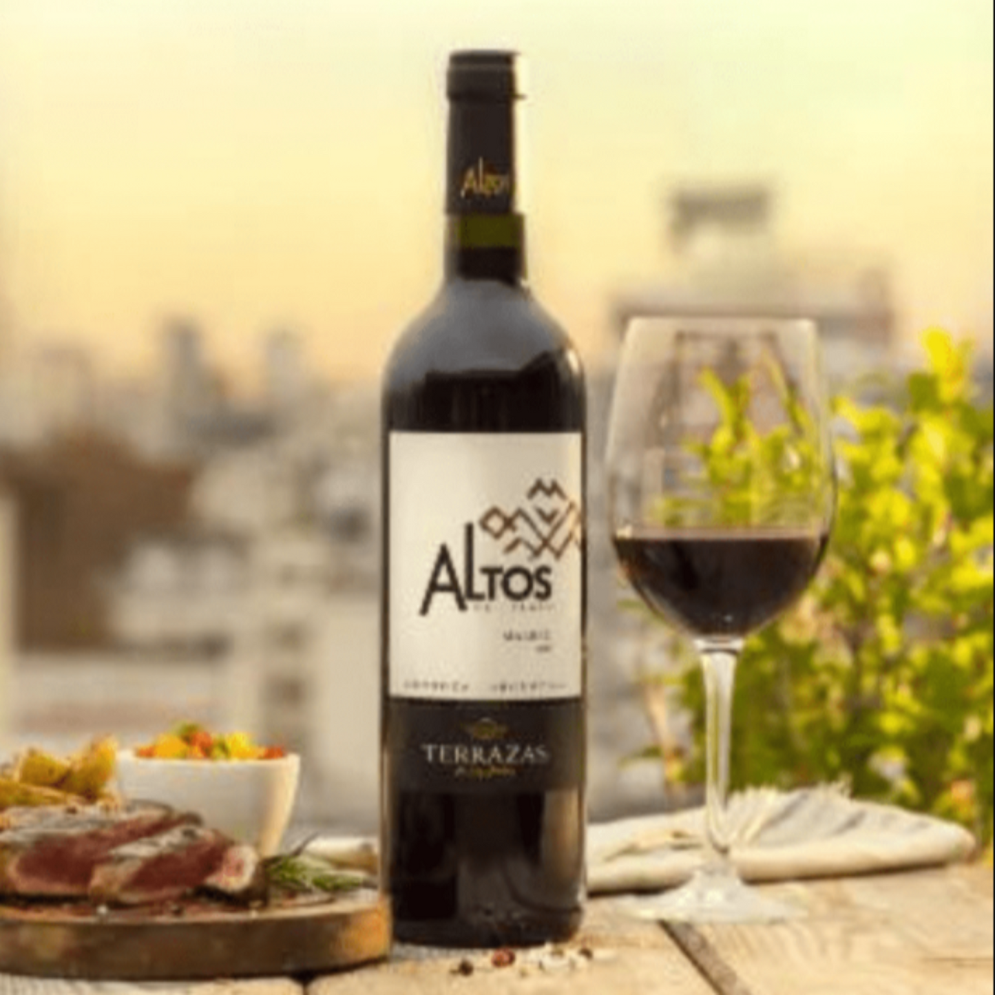 Terrazas Altos Del Plata Malbec 2022 - 75CL