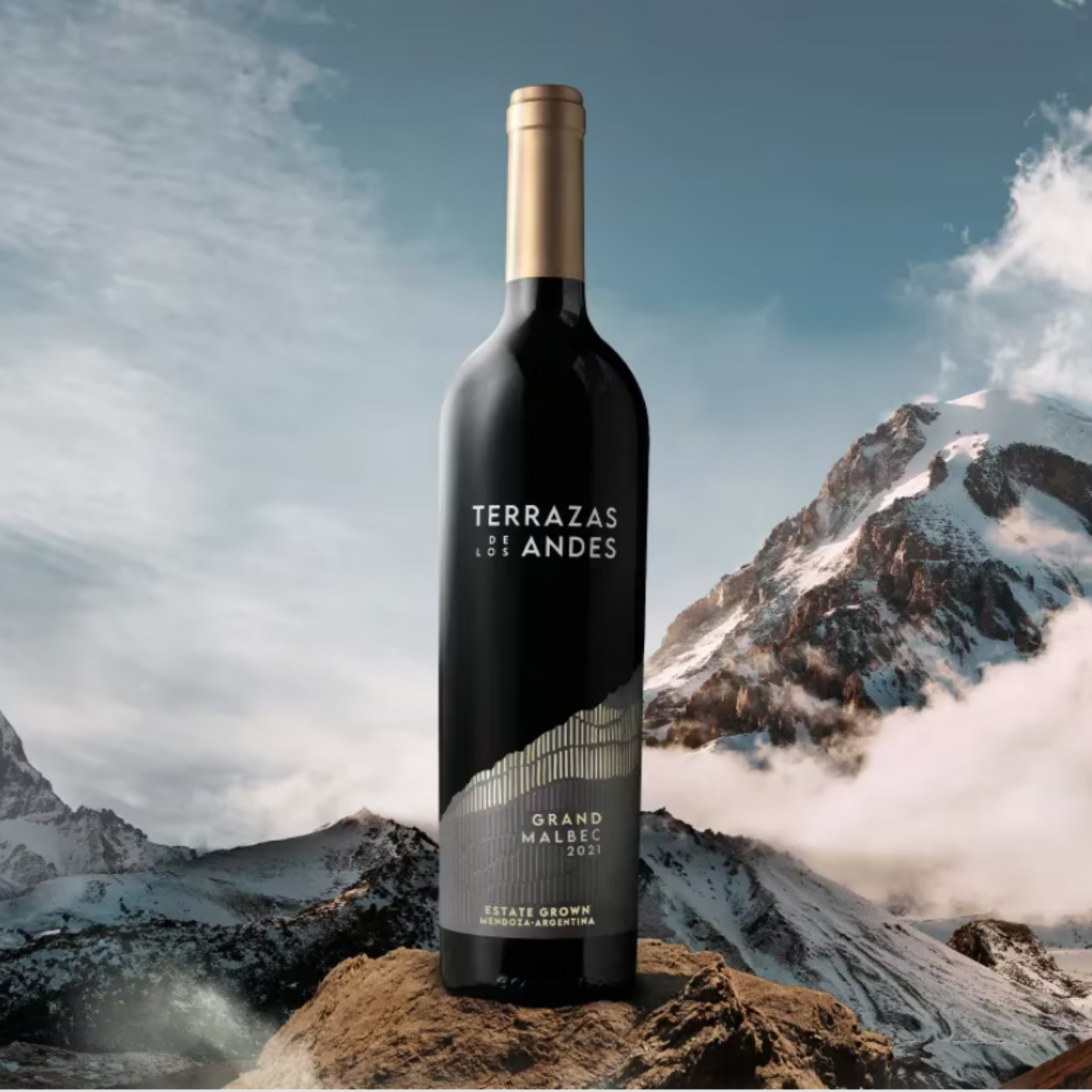 Terrazas Grand Malbec 2021 - 75CL