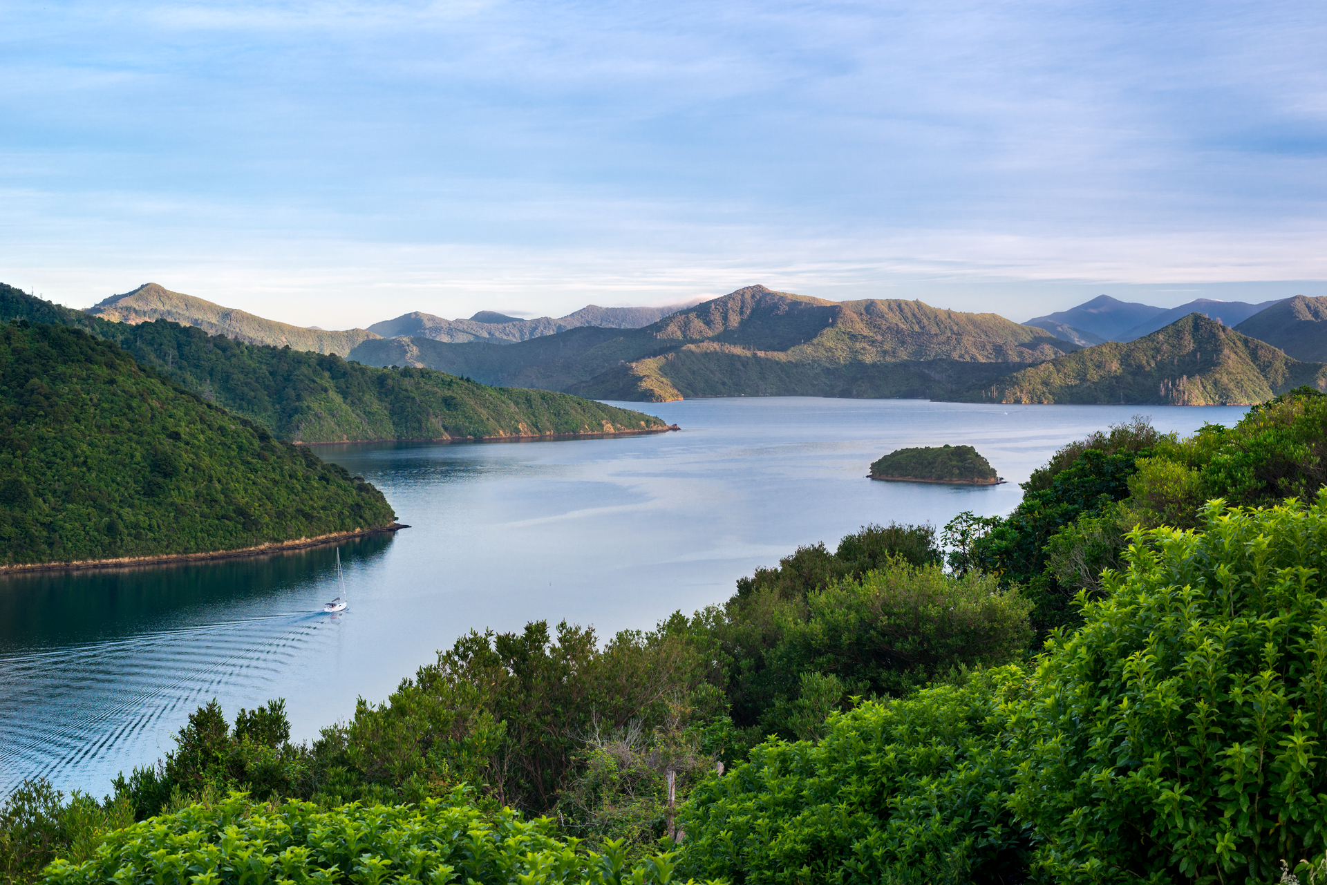 Cloudy Bay