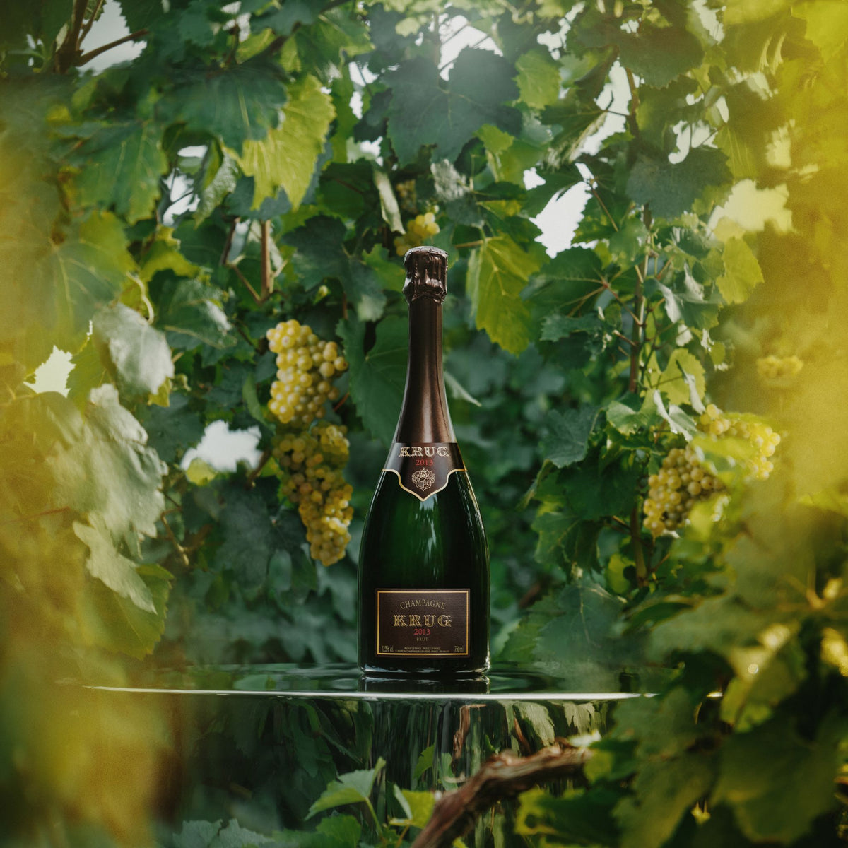 Krug Vintage Brut Champagne 2013 - 75CL