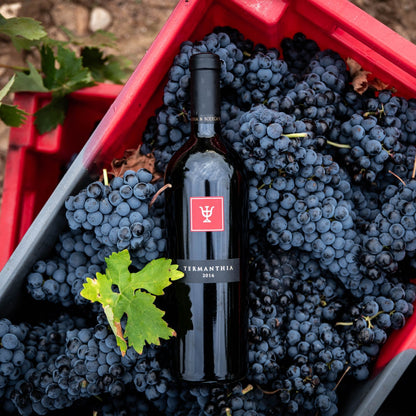 Termanthia 2016 - 75CL