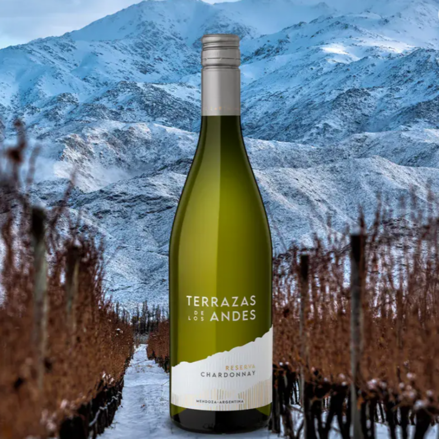 Terrazas Reserva Chardonnay 2024