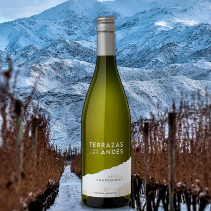 Terrazas Reserva Chardonnay 2024 - 75CL