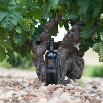 Numanthia Tinta de Toro 2019 - 75CL
