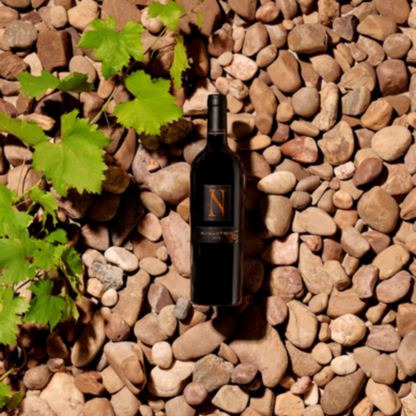 Numanthia Tinta de Toro 2019 - 75CL
