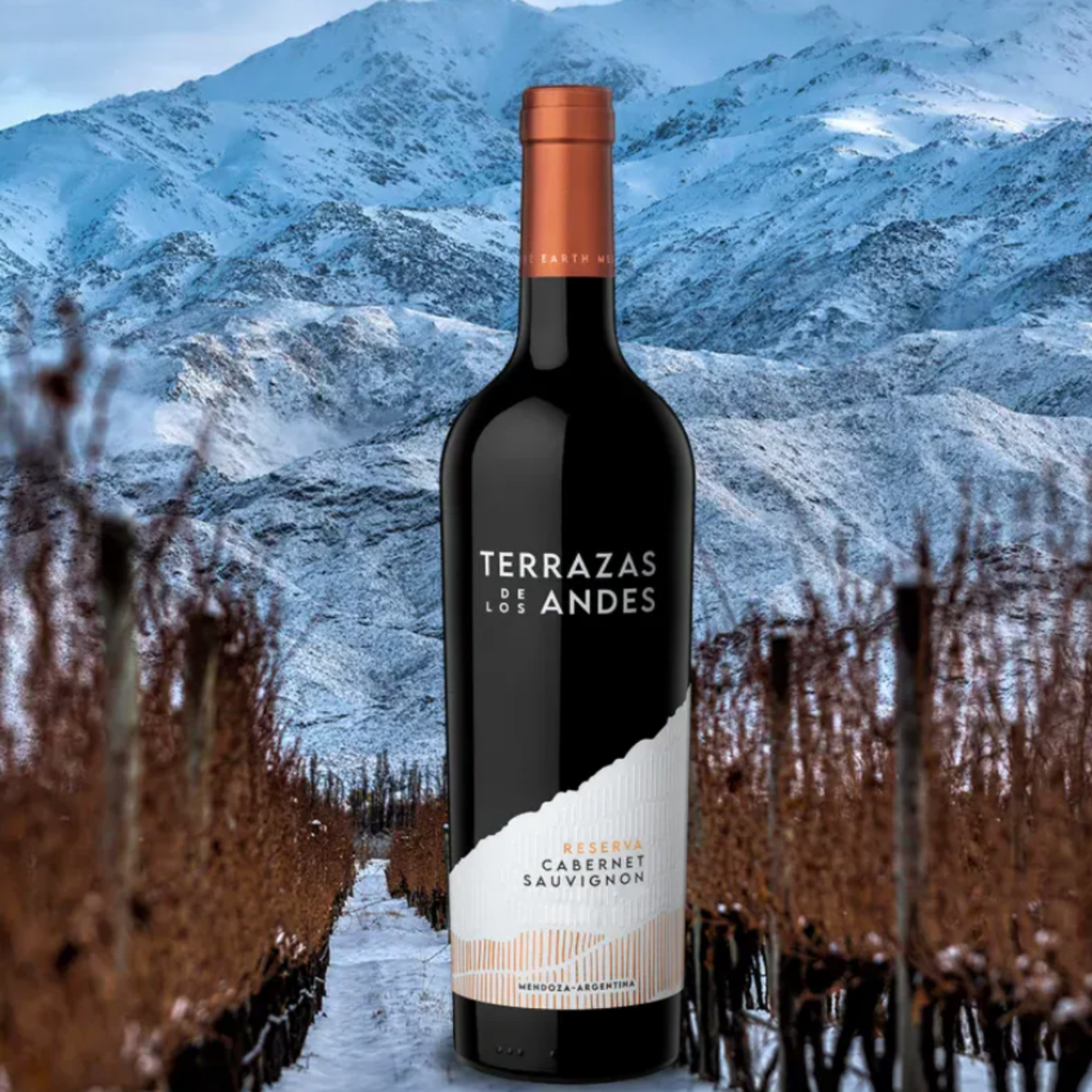 Terrazas Reserva Cabernet Sauvignon 2022