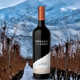 Terrazas Reserva Cabernet Sauvignon 2023 - 75CL